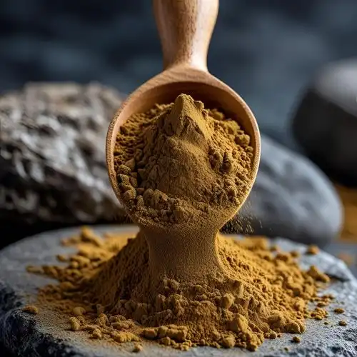 Is Chaga extract legal?